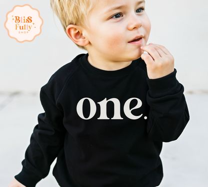 One Birthday Boy Shirt Long Sleeve - 1st Birthday Boy Shirt - First Birthday Boy Shirt Long Sleeve