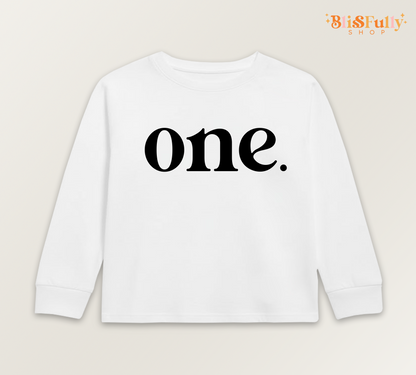 One Birthday Boy Shirt Long Sleeve - 1st Birthday Boy Shirt - First Birthday Boy Shirt Long Sleeve