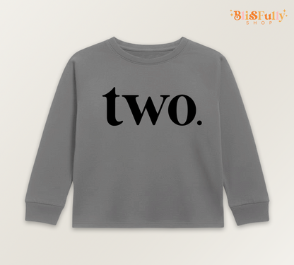 Two Birthday Boy Long Sleeve Shirt - 2nd Birthday Boy Shirt - Second Birthday Boy Shirt Long Sleeve