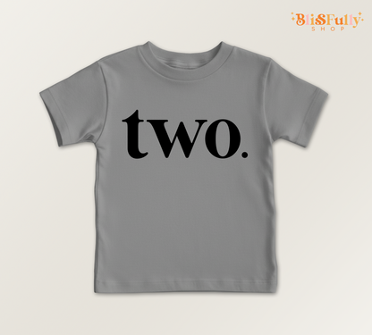Two Birthday Shirt for Boy - 2nd Birthday Boy Shirt - Boy Second Birthday Shirt